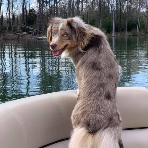 I’m Corinne! Thanks for stopping by to get to know me 😁 - Picture 14 of 14